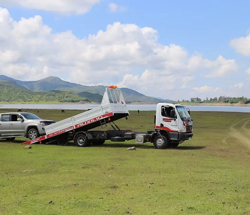 Grúa de plancha de Lausof trasladando una camioneta por la ruta